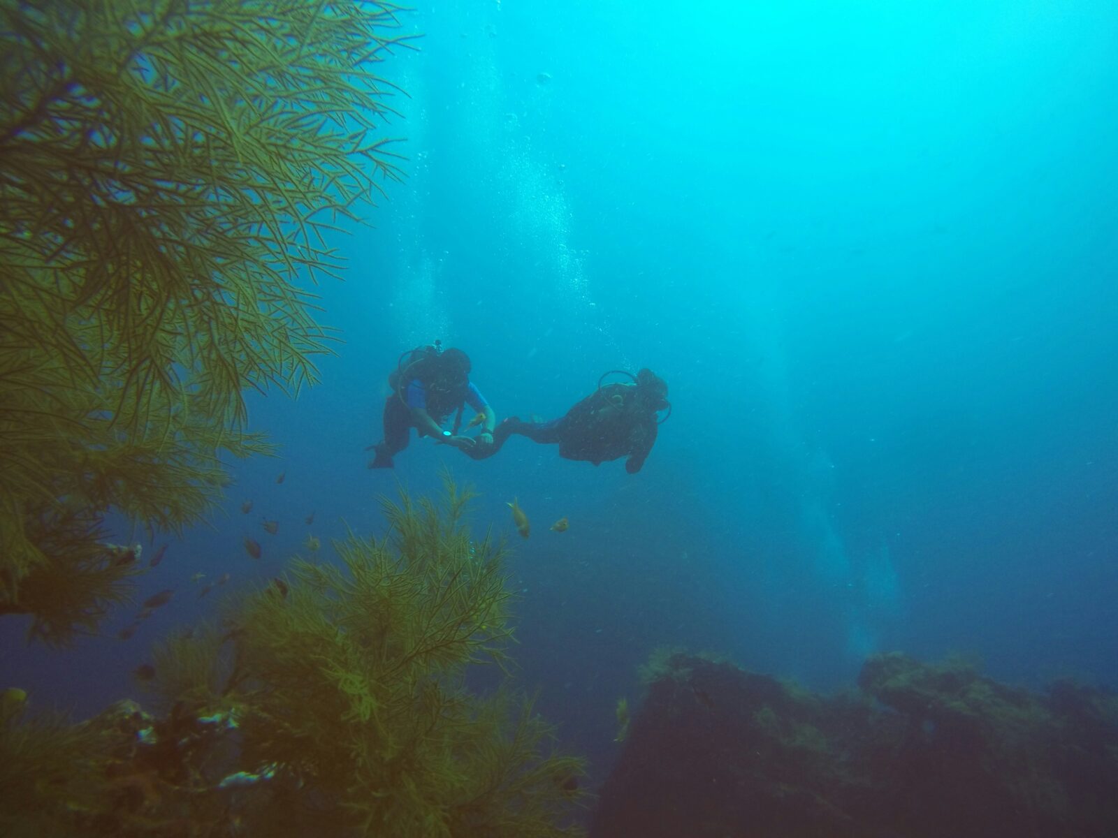 Andaman